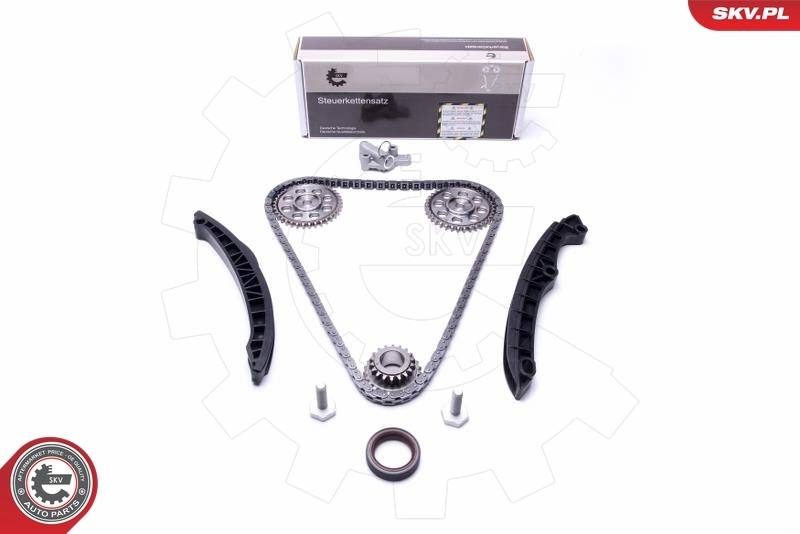 Timing Chain Kit